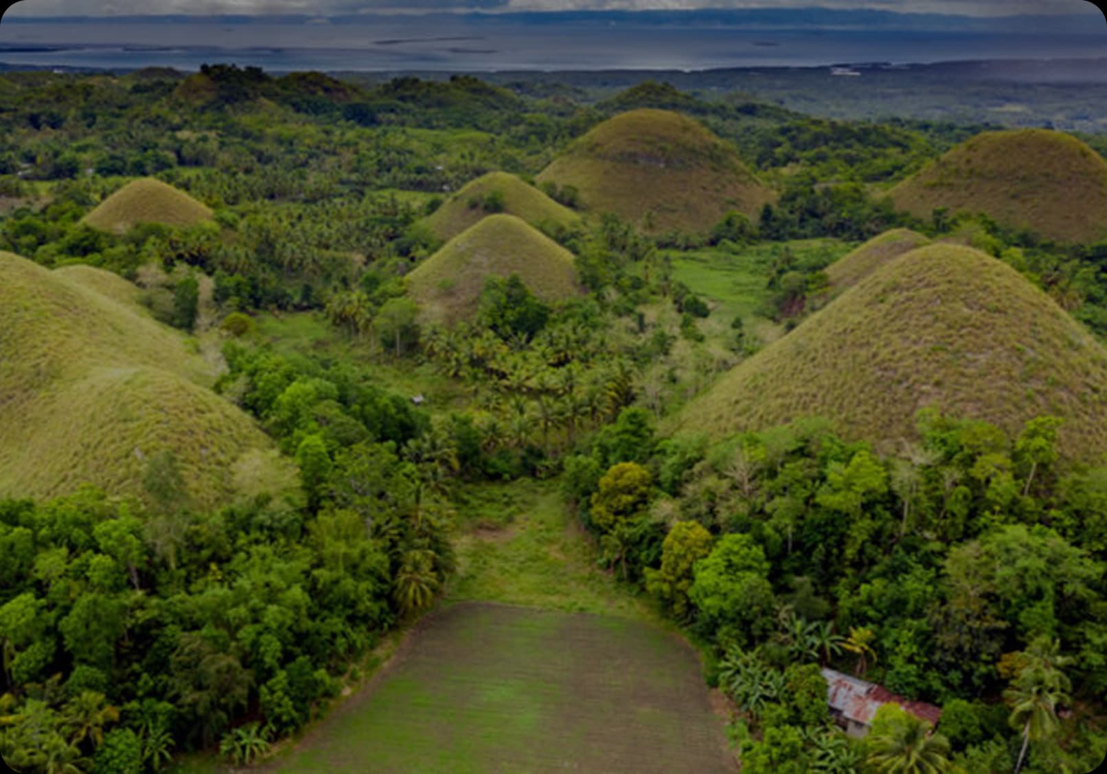 BOHOL TOUR